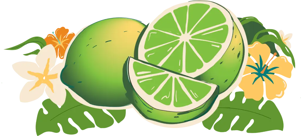 Maui Sun Lime Illustration