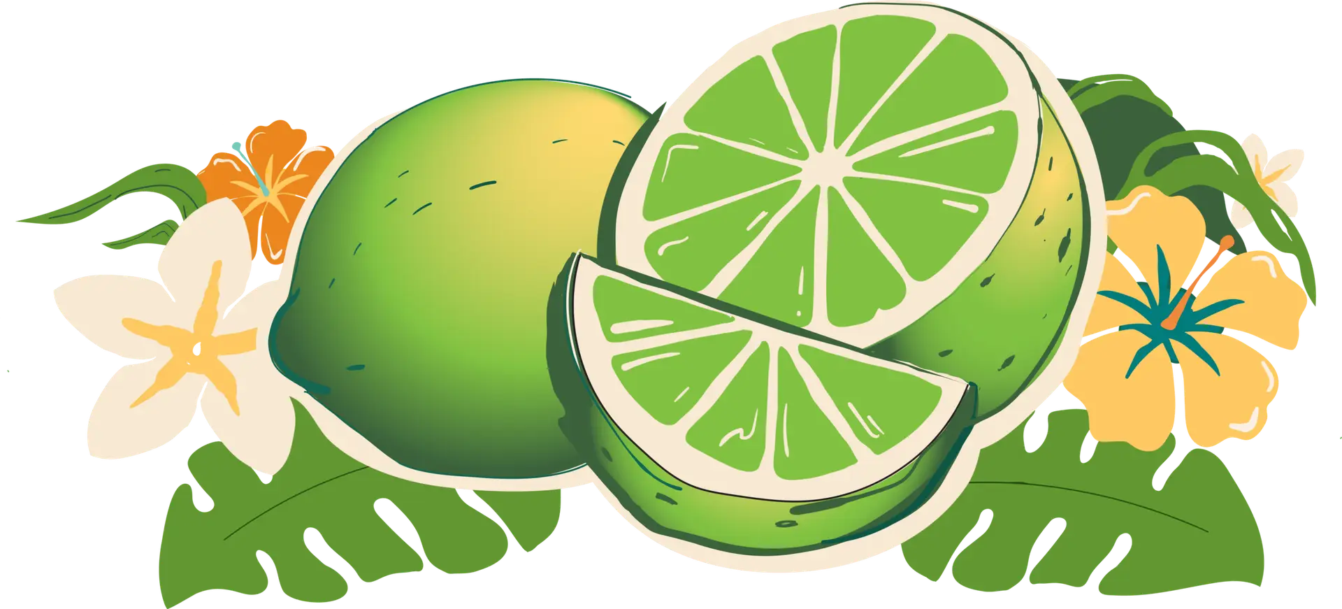 Maui Sun Lime Illustration
